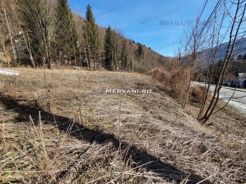 Teren Intravilan de Vanzare Sinaia